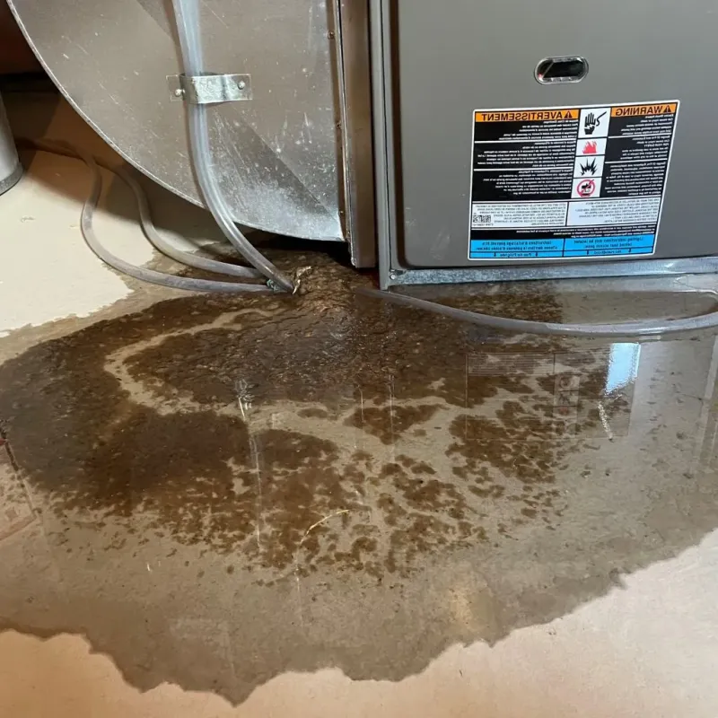 Pipe Burst and Leak Restoration in Fort Belvoir, VA